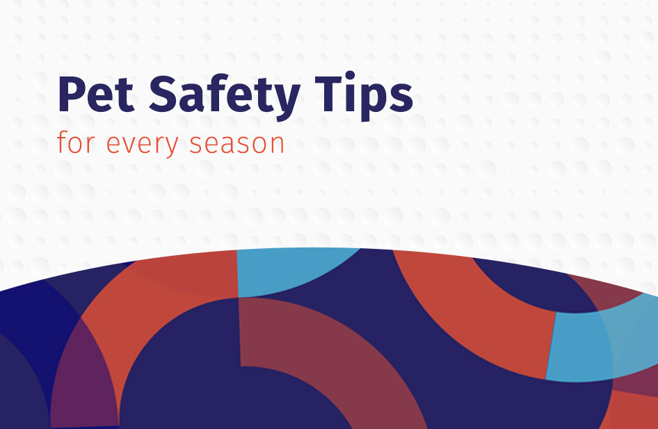 Seasonal Safety Reminders for Veterinary Practices