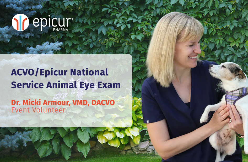 Seeing the Impact of the ACVO National Service Animal Eye Exam Event: Dr. Micki Armour Shares Why She Volunteers