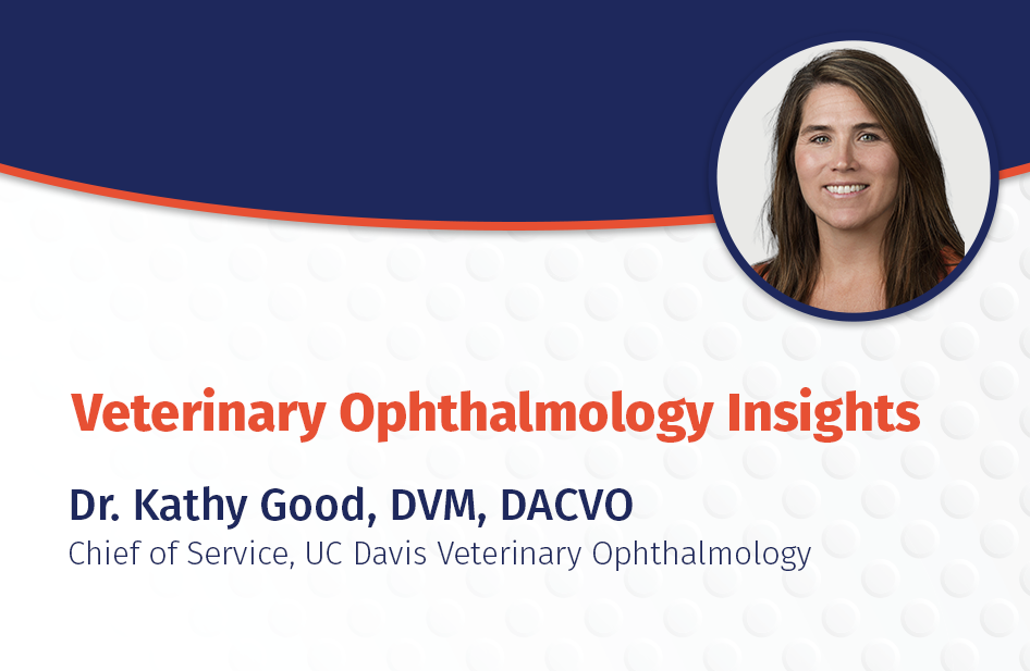 Veterinary Ophthalmology Insights from Dr. Kathy Good: Blending Medicine, Surgery, and Philanthropy
