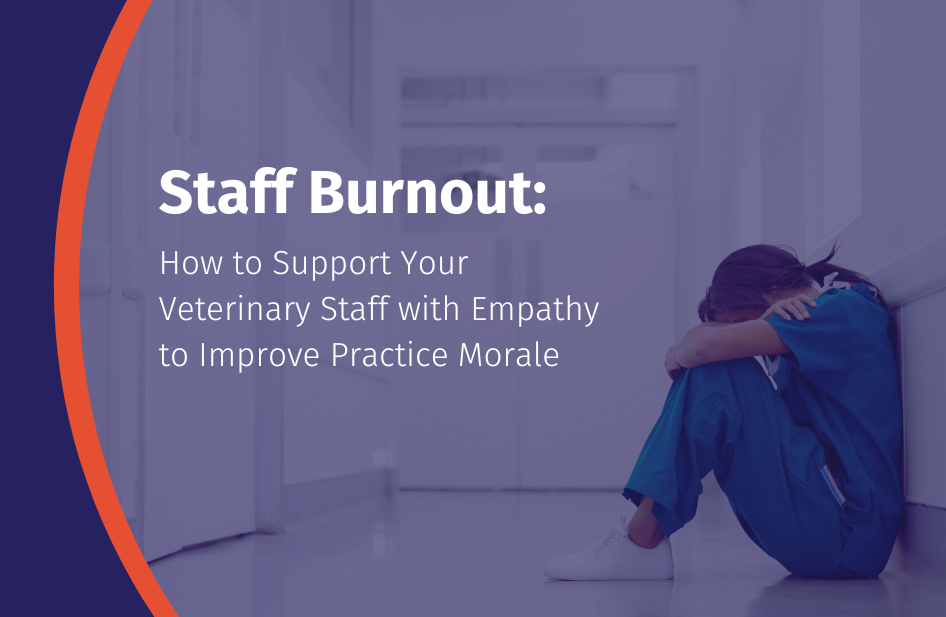 Staff Burnout: Improving Veterinary Practice Retention and Productivity with Empathy
