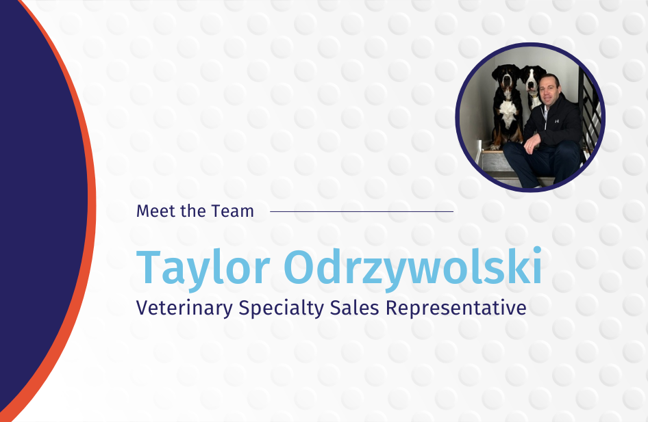 Meet the Team: Taylor Odrzywolski Brings An Interesting Animal Health Background to the Team