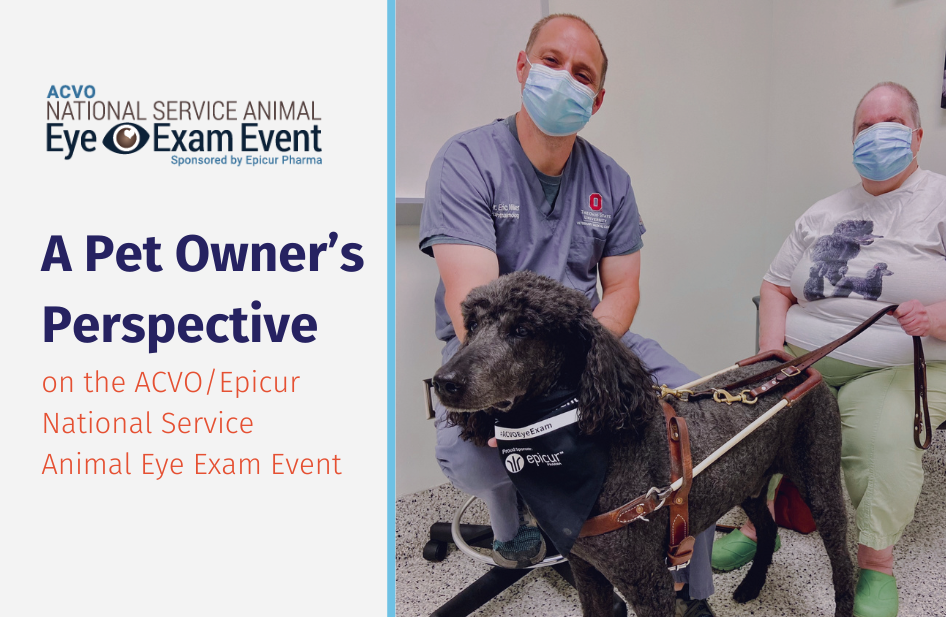 A Pet Owner’s Perspective: What a Free ACVO Eye Exam Means to A Service Animal Handler