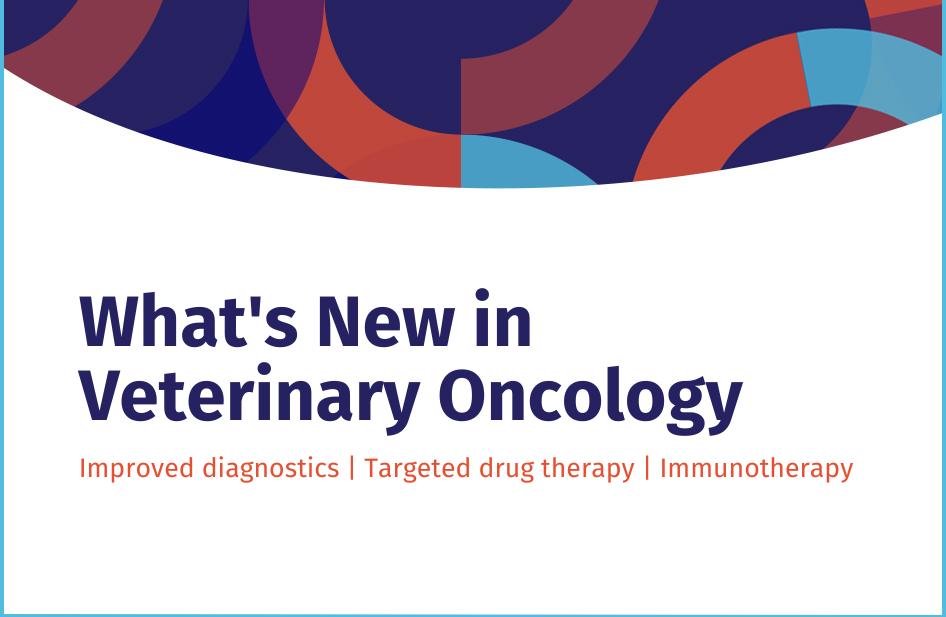 Advancements in Veterinary Oncology—What You Need to Know