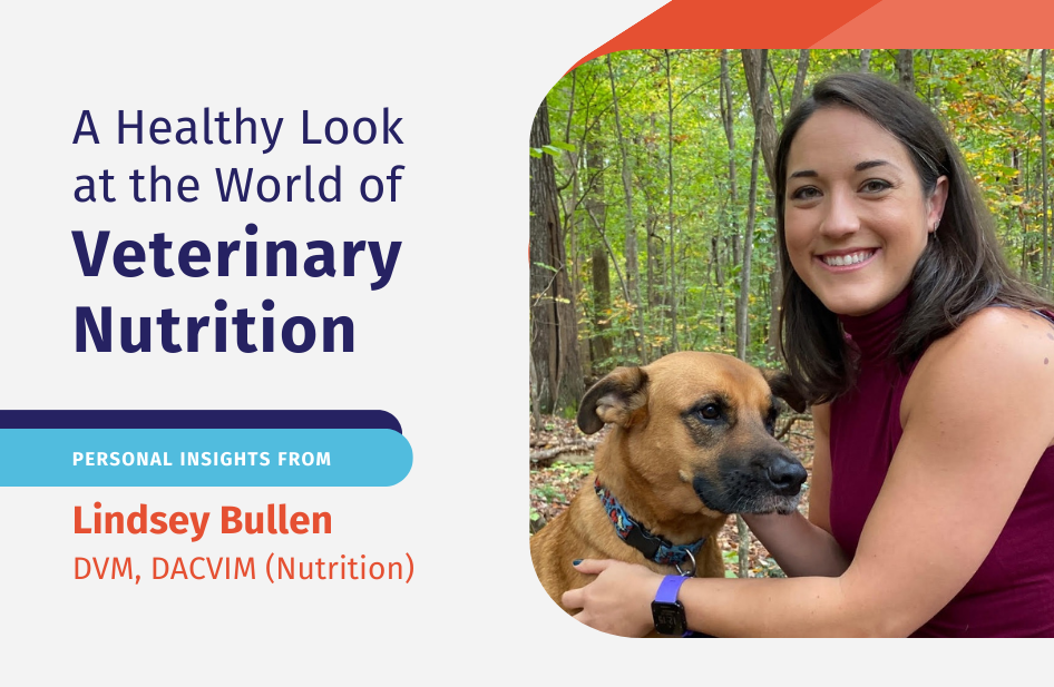 Unveiling the World of Veterinary Nutrition