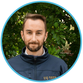 Francois-Rene Bertin